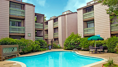 Turtle Creek