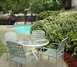 Lemon Tree