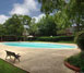 Park Oaks